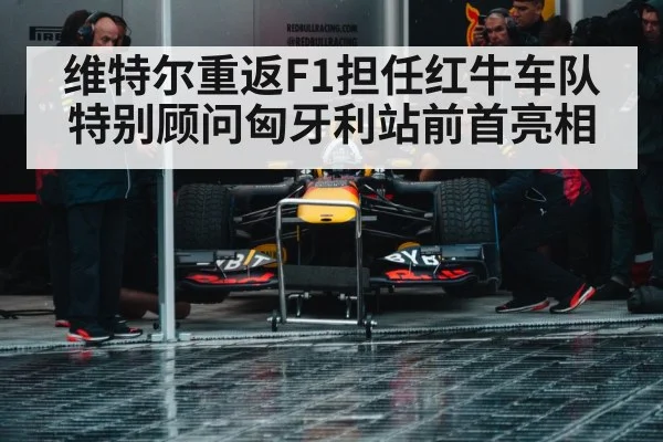 Sebastian Vettel Red Bull return