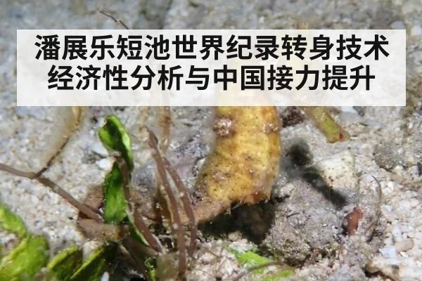 潘展乐短池世界纪录转身技术经济性分析与中国接力提升